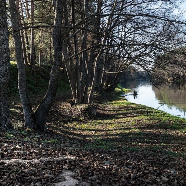 Экотуры 9 Viliya Park