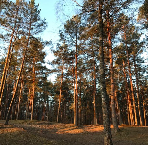 Экотуры 21 index2.jpg