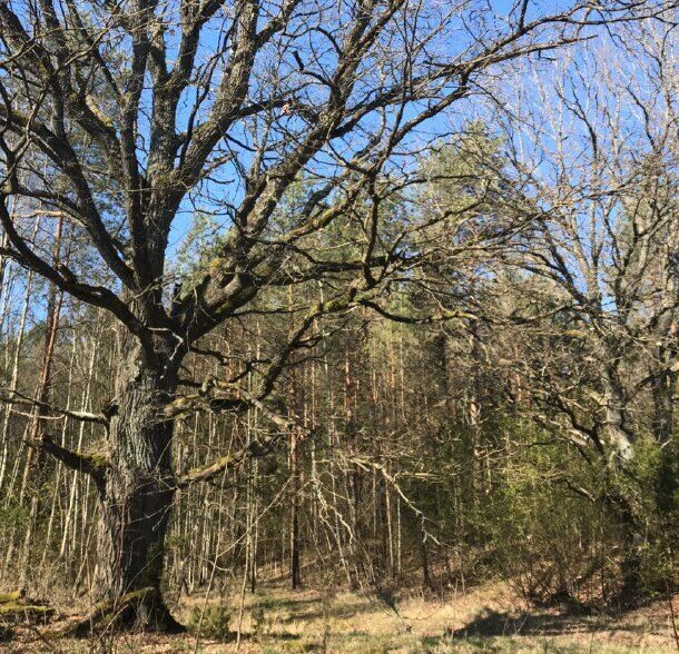 Экотуры 13 index3.jpg