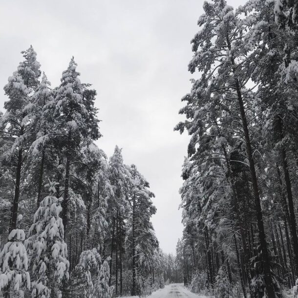 Экотуры 28 index