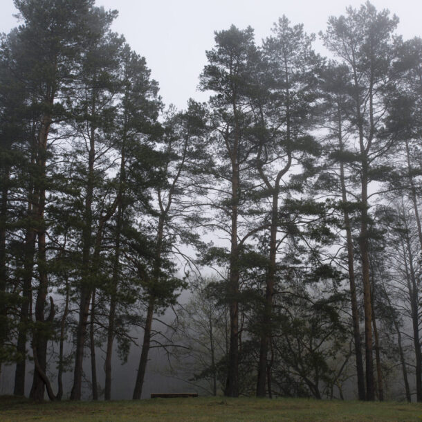 Экотуры 5 _SCH9556