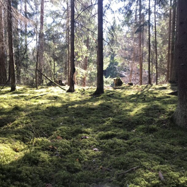 Экотуры 16 route 3