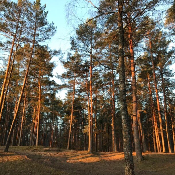 Экотуры 4 route 5