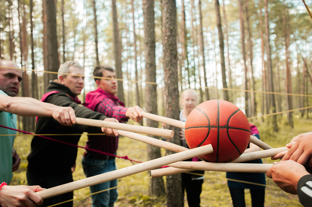 Тимбилдинг 2 Тимбилдинг