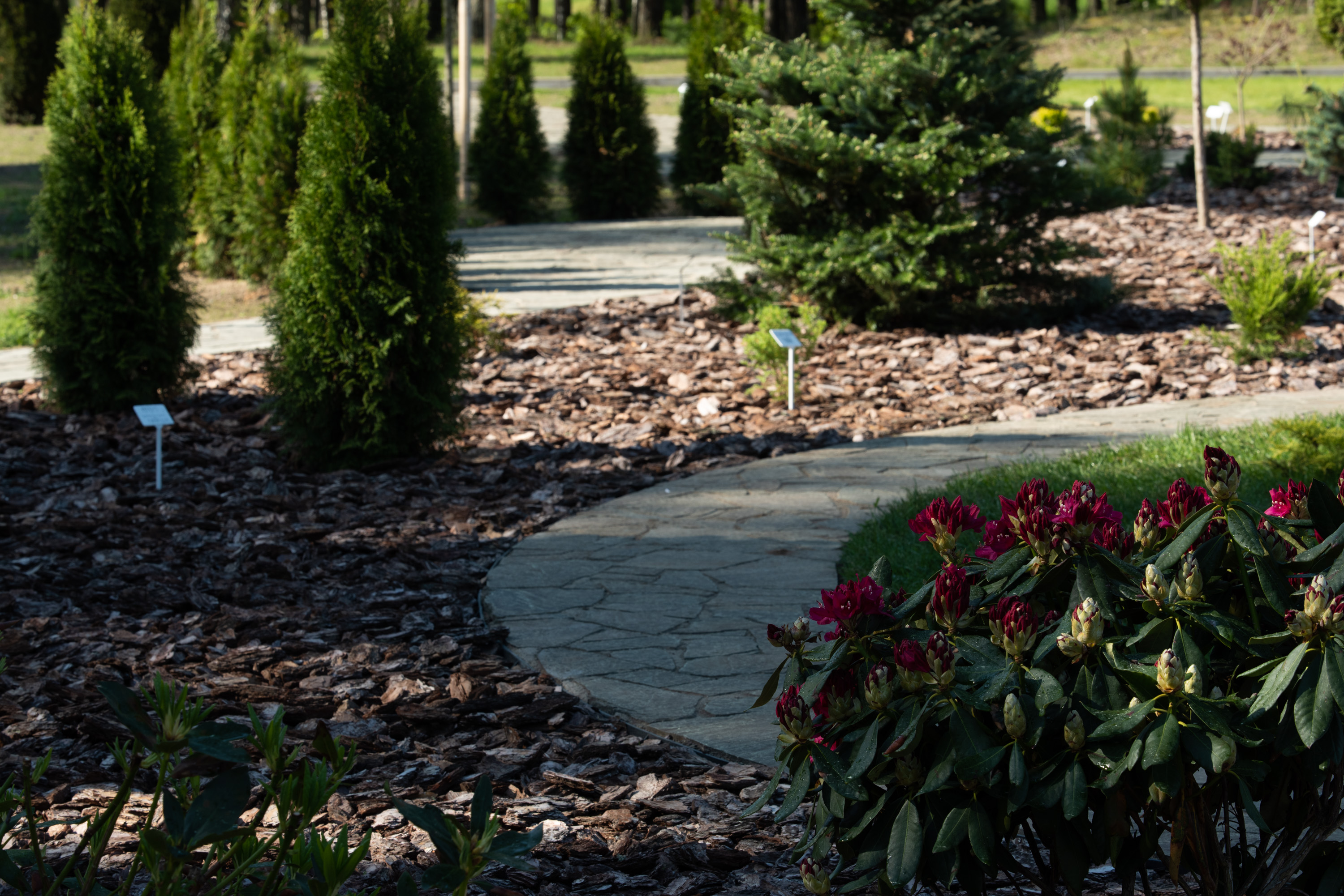 Viliya Park Garden-03 Viliya Park Garden-03