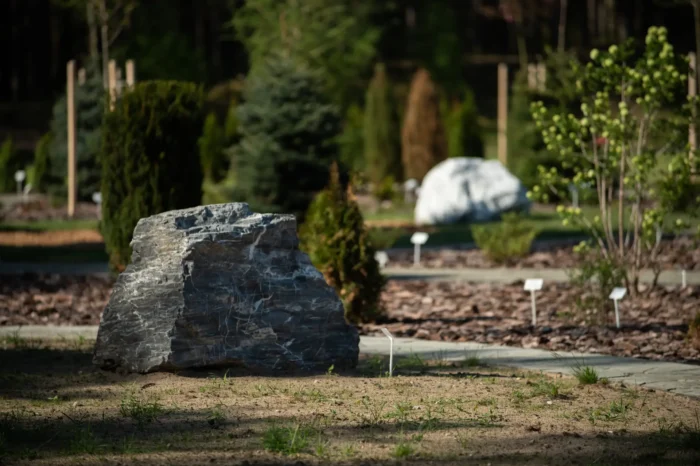 VILIYA PARK 5 49864751_1920_q70