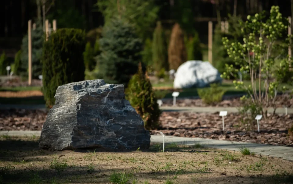 VILIYA PARK 10 49864751_1920_q70